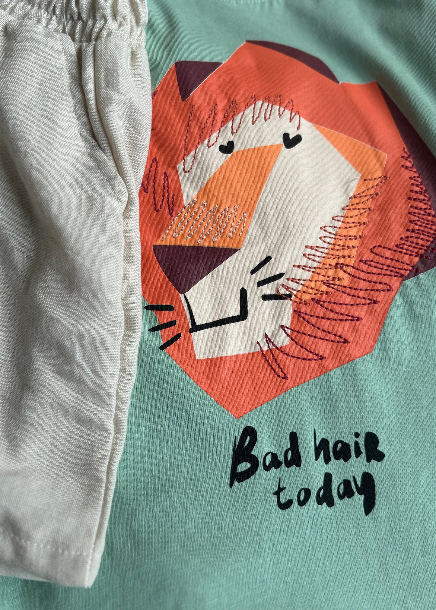 T-shirt with a lion graphic and 'Bad hair today' text on a green background