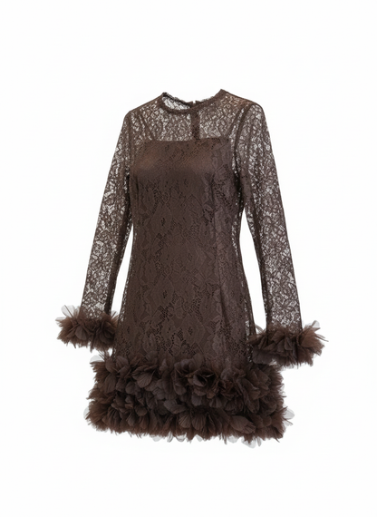 Brown lace dress with feathered hem on a white background